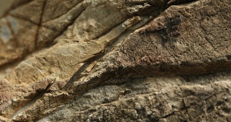 Close-up of layered sedimentary rock with pink tint and cracked ridges