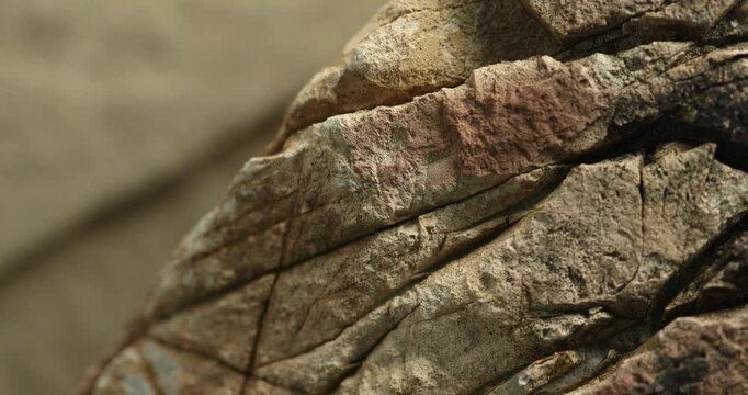 Close-up of layered sedimentary rock with pink tint and cracked ridges