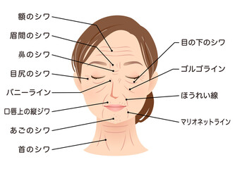 Fototapeta premium シワの種類 女性の顔 美容 シニア女性