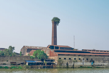 Vegetation sprouts from the chimney of an abandoned jute mill on the banks of the Hooghly river  in Calcutta, India