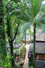 Wooden houses in the tropics by the sea coast. Thailand, Khao Lak