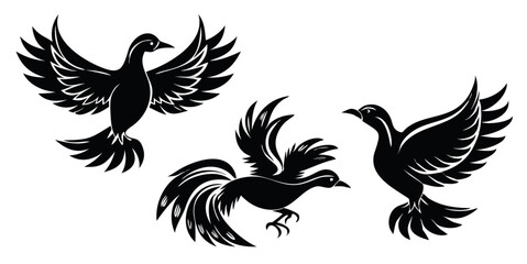Obraz premium set-of-black-bird-silhouettes--vector-elements-for