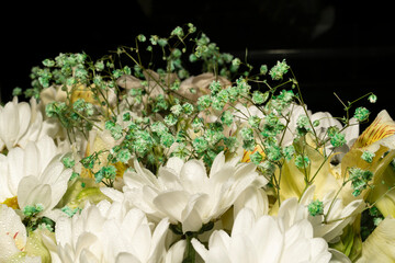 Bouquet of flowers. White chrysanthemums, lilies.