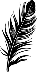 Obraz premium feather vector illustration