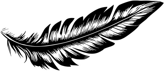 Obraz premium artistic feathers