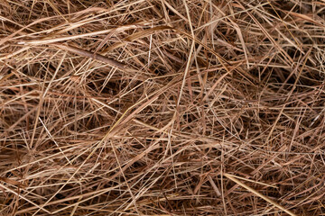 Close-up of dry hay texture with detailed natural straw patterns, ideal for agricultural, rural, or organic design themes emphasizing rustic nature and countryside simplicity.