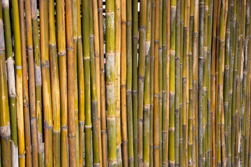 Close-up background of old bamboo fence.