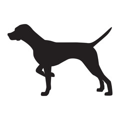 Pointer Dog silhouette icon vector illustration design on white background