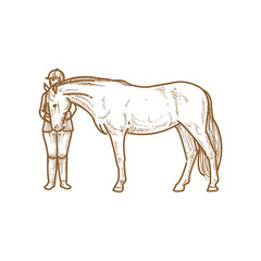 Horse and Rider A Bond of Friendship