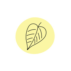 vector illustration of a yellow  leaf