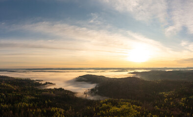 Foggy forest at golden hour in the morning, drone aerial view