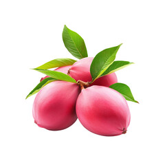 Fresh, organic red radish with green leaves isolated on white background