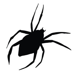 Cute cartoon hand drawn vector spider silhouette.