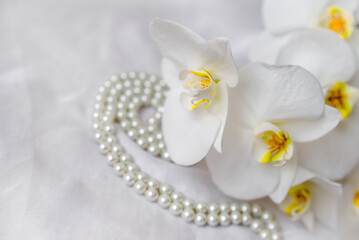 The branch of white orchids on white fabric background
