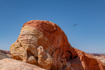 red Aztec Sandstone outcrops, Early Jurassic geological formation of primarily eolian sand. Rainbow...