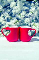 two heart shaped mugs with tea against the background of blossoming cherry
