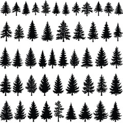 Pine Tree Silhouette Vector Set Featuring Natural Forest Elements.