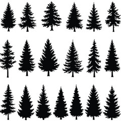 Pine Tree Silhouette Vector Set Featuring Natural Forest Elements.
