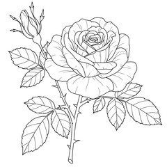Seamless Monochrome Floral Pattern. Hand Drawn Floral Texture, Decorative Flowers, Coloring Book.