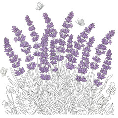Seamless Monochrome Floral Pattern. Hand Drawn Floral Texture, Decorative Flowers, Coloring Book.