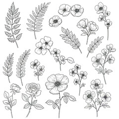 Seamless Monochrome Floral Pattern. Hand Drawn Floral Texture, Decorative Flowers, Coloring Book.