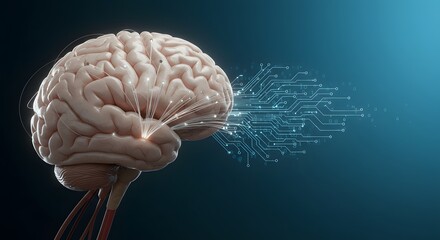 Human Brain and Artificial Intelligence Exploring the Convergence of Biology and Technology