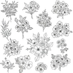 Seamless Monochrome Floral Pattern. Hand Drawn Floral Texture, Decorative Flowers, Coloring Book.