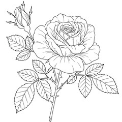 Seamless Monochrome Floral Pattern. Hand Drawn Floral Texture, Decorative Flowers, Coloring Book.