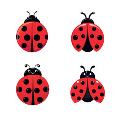 set of ladybugs vector