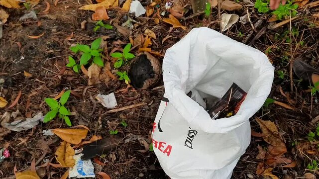 Community Cleanup Collecting Plastic Waste into Sack on Coastal Area