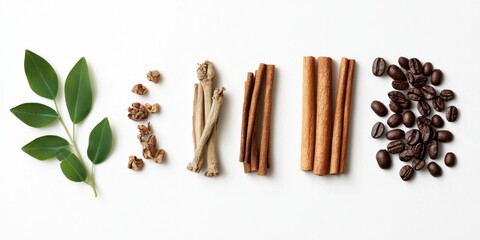 Green leaves, dried roots, cinnamon sticks, coffee beans on white background