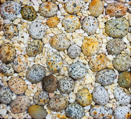 top view of the various color nature sphere stones are arranged and decorated with small pebbles as a background textures