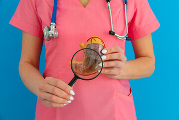 Male doctor showing a model of stomach using magnifying glass. Early diagnosis and treatment