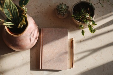 Layout of everyday objects -  notebook, pen, plant in soft light, no focal point