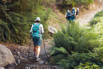Hiker with backpack walking along trail through mountain stream. Woman hiking in nature.
