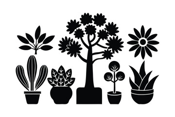 Indoor Plant Silhouettes Icon Vector Design
