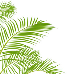 Obraz premium Coconut Tree Corner