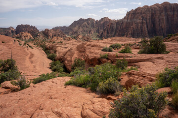 View of red rocks in Snow Canyon National Park, Petrified Dunes Trail, St. George, Utah. USA.	