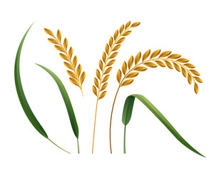 paddy rice premium organic natural product banner logo vector design