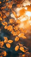 Golden autumnal foliage bathing in the warm sunlight, offering a tranquil vista