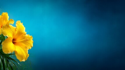 Yellow Flowers Against a Deep Blue Background