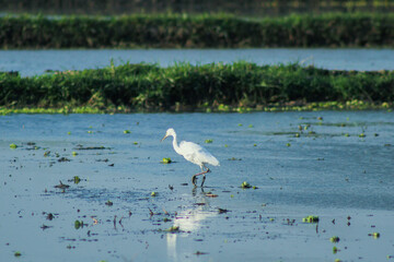 It may take up to 3 days for your approved content to be viewable elsewhere on the site.