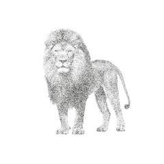 Majestic Lion Stippling Illustration – Realistic Black and White Dotwork Vector