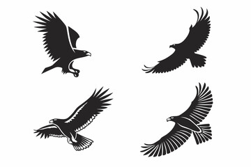 Obraz premium eagle vector illustration