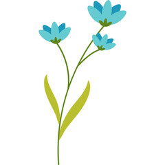 Spring Flower Illustration