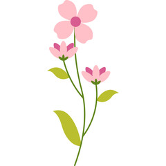 Spring Flower Illustration