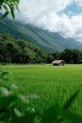 Obraz premium Lush green field with mountainous backdrop and rustic hut