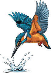 Diving Kingfisher Bird