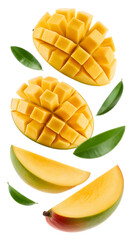flying mango fruit and half slices isolated on transparent white background 