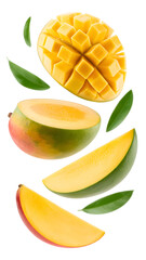 flying mango fruit and half slices isolated on transparent white background 
